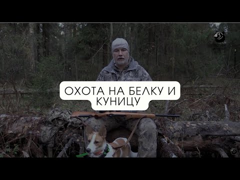 Видео: Охота на белку и куницу // В одиночку на зверя