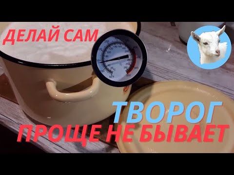 Видео: Пошаговый рецепт творога Как приготовить творог из козьего молока