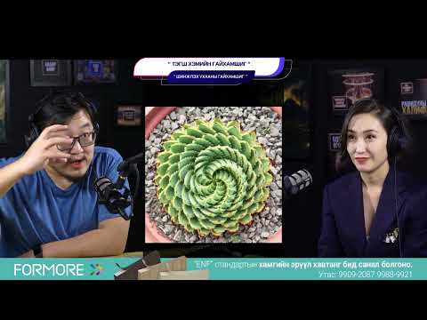 Видео: Тэгш хэмийн гайхамшиг - ТЕХНОЛОГИЙН ГАЙХАМШИГ