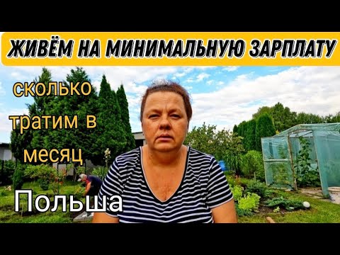 Видео: Живём на минимальную зарплату в Польше, сколько тратим в месяц/наша дача.