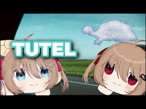 Видео: Близнецы играли в машинки, чтобы скоротать время