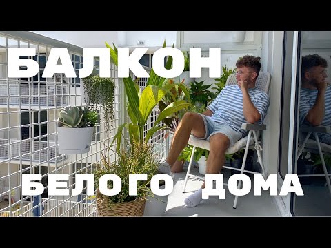 Видео: ОБЗОР моих РАСТЕНИЙ на балконе