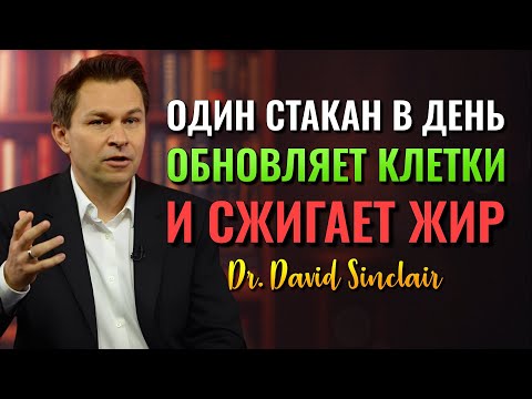 Видео: Напиток, Который Обновляет Ваши Клетки и Сжигает Жир на Животе (Dr. David Sinclair)
