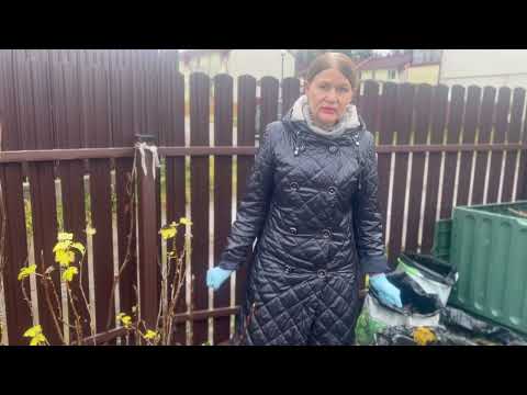 Видео: 13 ноября 2025 г. О листопаде.