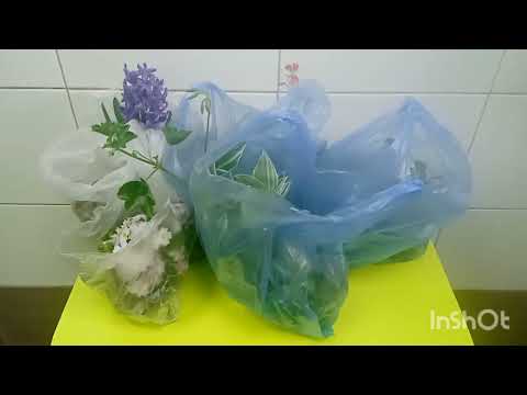 Видео: Від ночі базарую.🤫🤫🤫 Ціни бімба.🤗🤗🤗
