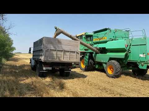 Видео: Уборка озимой пшеницы Три Дона 1500Б и 5 Газонов