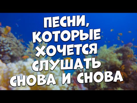 Видео: Заходи и Слушай! Здесь самые Лучшие песни!