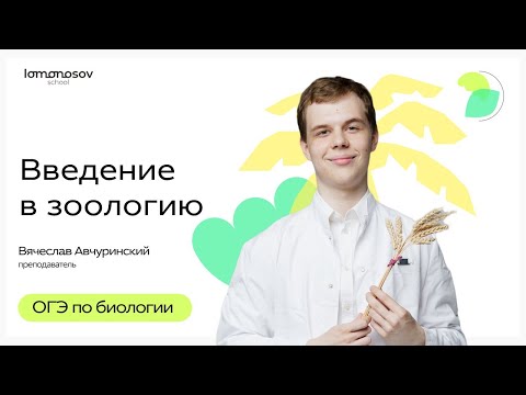Видео: Введение в зоологию