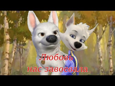 Видео: Вольт и Белка: Любовь нас завоевала