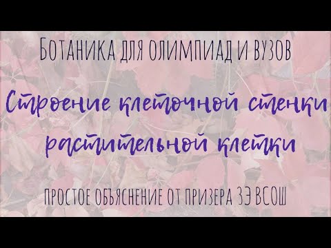 Видео: Клеточная стенка растительной клетки | Состав, деление с фрагмопластом, первичная и вторичная стенки