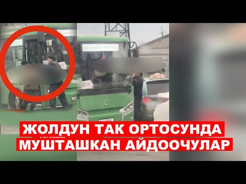 Видео: АЙДООЧУЛАРДЫН ТАРТИБИ КӨЗӨМӨЛДӨНӨТ