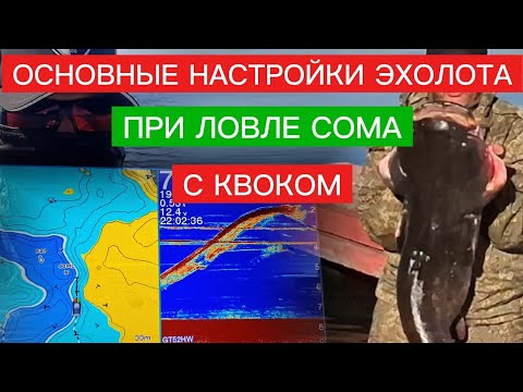 Видео: КЛЮЧЕВЫЕ настройки ЭХОЛОТА при ловле СОМА С КВОКОМ.