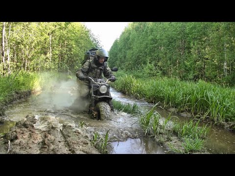Видео: Съездил на озеро, утопил видеокамеру... #289