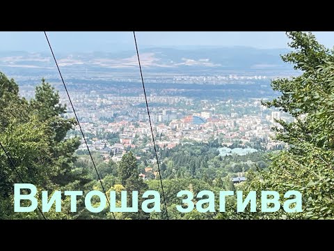 Видео: Витоша загива с години