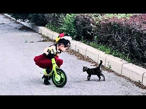 Видео: Мама, эта кошечка давно идёт за нами, давай заберём её домой.