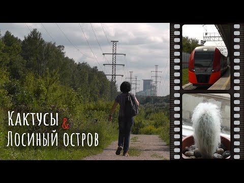Видео: VLOG: МОИ КАКТУСЫ, МЦК, прогулка по Лосиному острову