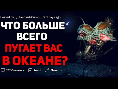 Видео: ЧТО САМОЕ СТРАШНОЕ В ОКЕАНЕ? 🐳