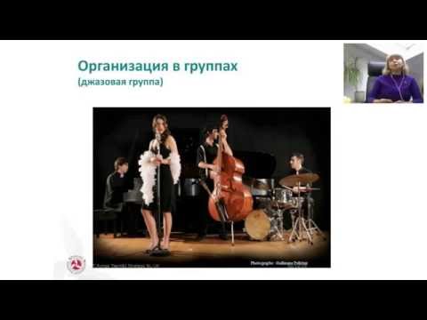 Видео: Татьяна Рунге / Эффективные команды / Belbin Team Roles / Лидерство