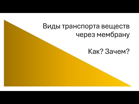 Видео: Виды транспорта веществ через мембрану. Как? Зачем?