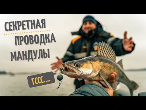 Видео: Секретная проводка мандулы по холодной воде. Поймали только мы! Рыбалка на Каме в ноябре 2020