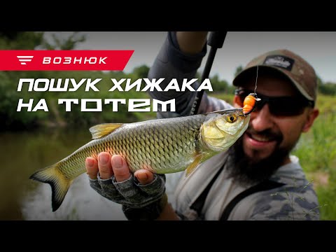 Видео: Головень, судак, окунь та бонусний ЯЗЬ! Ловля хижака на річці Случ