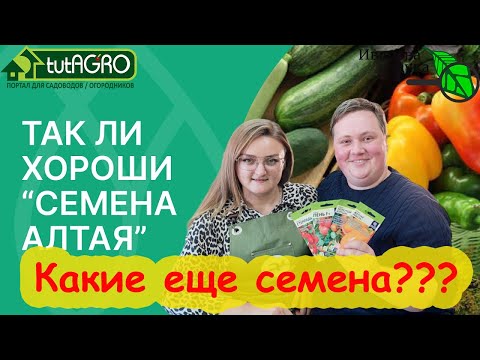 Видео: КАК НЕ НАПОРОТЬСЯ НА ФЕЙКОВЫЙ СОРТ. Сорта-фантомы и сорта-выдумки. Семена Алтая, ай-яй-яй и а-та-та!