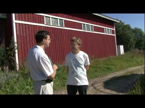 Видео: АГНКС на биогазе