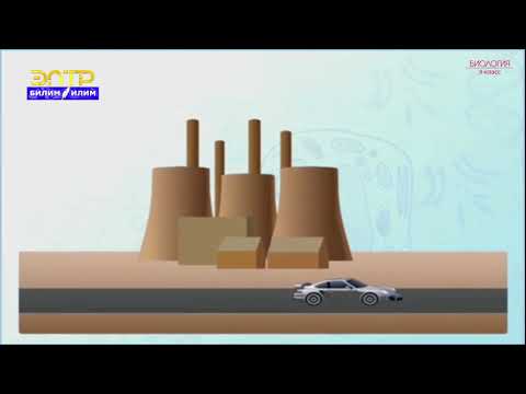 Видео: 9-класс | Биология |  Азыркы экологиялык көйгөйлөр