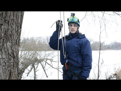 Видео: классический способ подъёма на дерево применяемый лесорубами  арбористами  северной америки