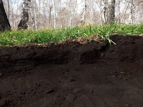 Видео: Черноземные почвы