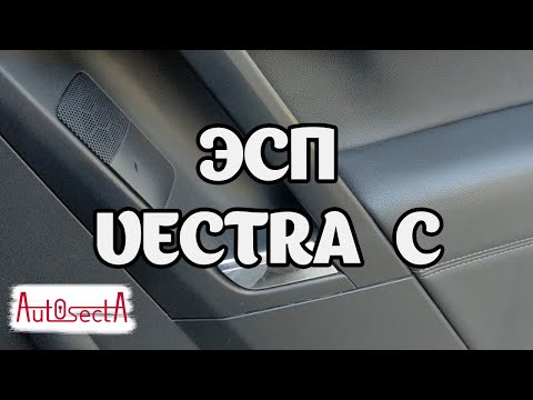 Видео: Установка задних ЭСП на Vectra C
