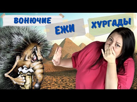 Видео: Мошенники и аферисты Хургады. Египет 2023.