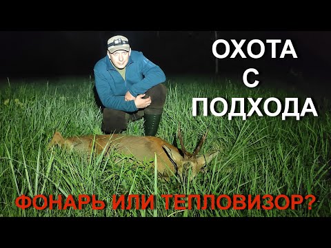 Видео: Охота НА КОСУЛЮ с подхода, новый фонарь и тепловизор для охоты.