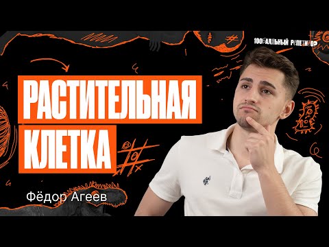 Видео: Пестик. Растительная клетка | Биология ОГЭ – Федор Агеев