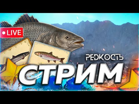 Видео: 🍁 ЕСТЬ НАВОДКА 🍂 РАДУЖКА КУОРИ ГИГАДЖИГ МОРЕ ТАЙМЕНЬ ОСЁТР ТУНГУСКА Русская Рыбалка 3aekkk РР4