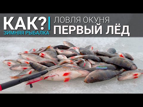 Видео: Как? Ловля окуня зимой. Первый лед.