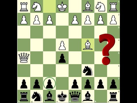 Видео: Шахмат. Балалар матынан қалай қорғанамыз?