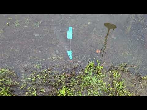 Видео: Minelab equinox 900 настройки для пресного пляжа!плюсы минусы прибора!