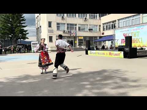 Видео: Овчар и девойка