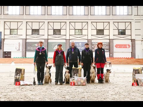 Видео: Соревнования по обидиенс в MAXIMA PARK!
