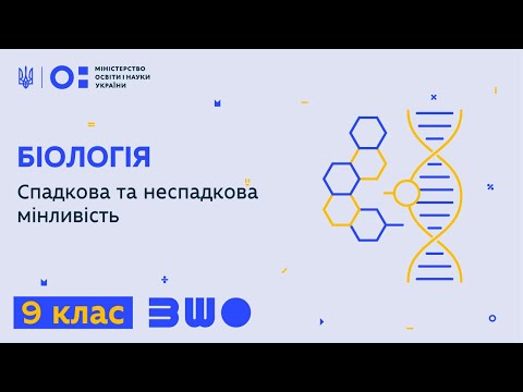 Видео: 9 клас. Біологія. Спадкова та неспадкова мінливість