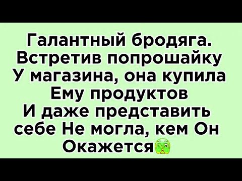 Видео: Благородный попрошайка