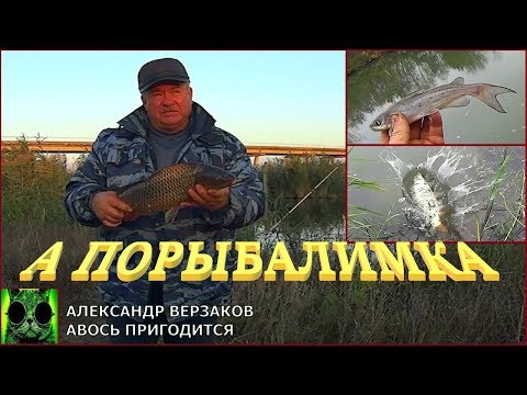 Видео: А порыбалимка. К чему не готовишься, то и клюет.