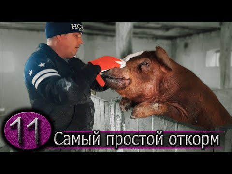 Видео: БМВД - это выгодно и просто!