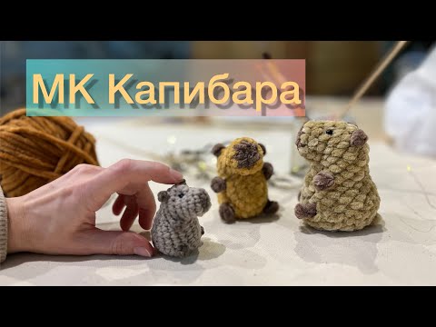 Видео: ♥️Капибара Капибарыня  МК 🧶