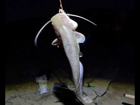 Видео: Риболов на язовир Студен Кладенец 2024. Част първа . Fishing at Studen Kladenets Dam 2024  Part one