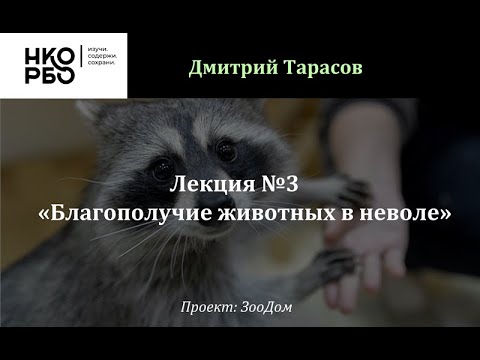 Видео: Лекция №3 - Благополучие животных в неволе» (Тарасов Дмитрий)