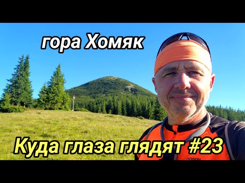 Видео: Куда глаза глядят #23. 2025г. Гора Хомяк.