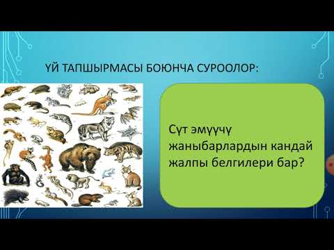 Видео: 7- класс.Биология.Бакма жаныбарлар.