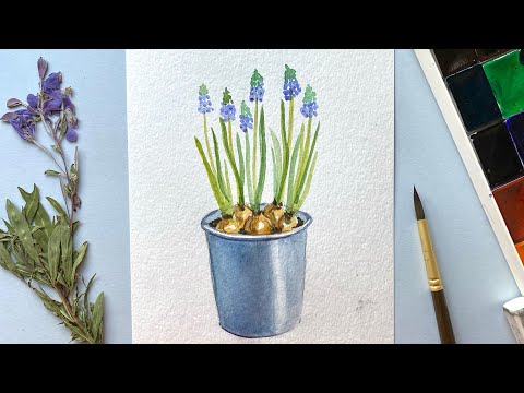 Видео: Акварель для начинающих. Рисуем весенние цветы Мускари в горшке. Урок рисования